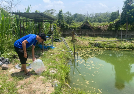 AKTIVITI MEMASUKKAN DAN MELEPASKAN ANAK IKAN TALAPIA BAGI PROJEK PENTERNAKAN IKAN TALAPIA PROGRAM AGROBELIA LESTARI