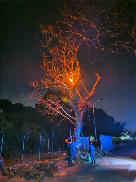 OPERASI PEMUSNAHAN SARANG TEBUAN DI KOMPLEKS BELIA DAN SUKAN WP LABUAN
