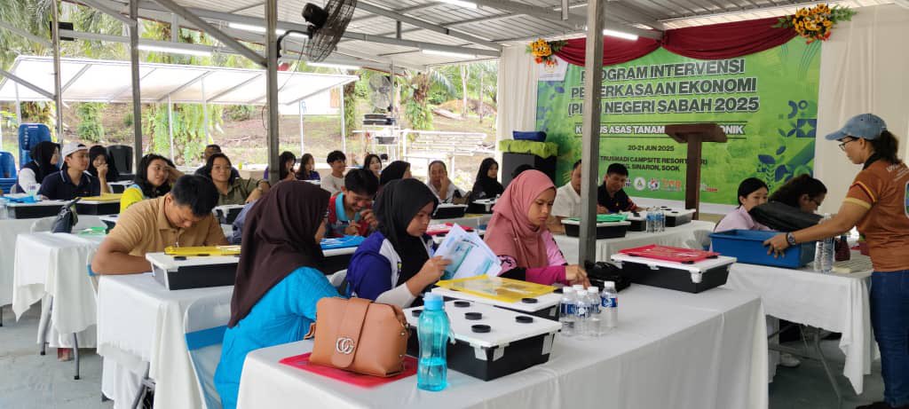 PIPE PLATFORM JANA PENDAPATAN BELIA AKAR UMBI